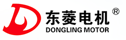 Wenling Dongling Motor Co.,Ltd.